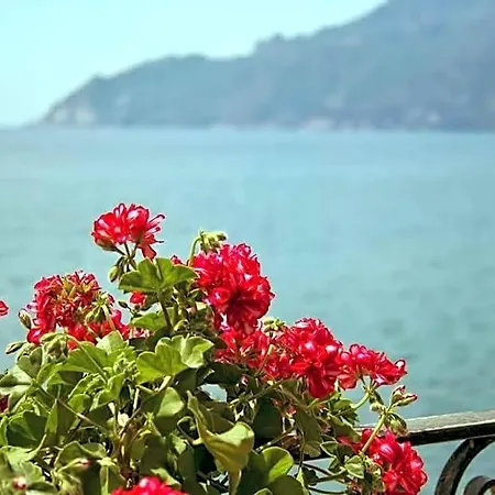 Fronte Del Mare Panzió